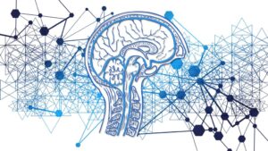 ¿Cuáles Son Los Componentes De La Inteligencia Emocional?